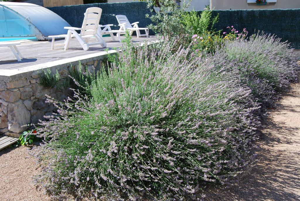 Les Terrasses De Castelmerle Niaux Bagian luar foto